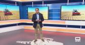El campo - 16/09/2025