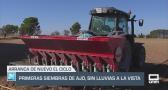 Primeras siembras de ajo, sin lluvias a la vista - 16/09/2025