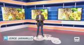 El campo - 17/09/2025