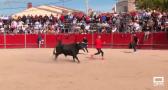 Muchos aficionados viven con intensidad los encierros de Portillo de Toledo