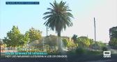 Previsión del tiempo - 26/09/2025