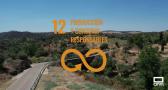 Villarejo de Montalbán, 12º objetivo de desarrollo sostenible: Producción y consumo responsables