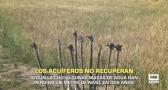 Los acuíferos no recuperan - 03/10/2025