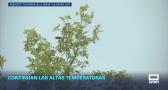 Previsión del tiempo - 06/10/2025
