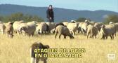 La noche en titulares - 06/10/25