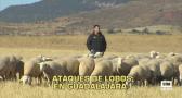 Castilla-La Mancha a las 8 - 06/10/2025