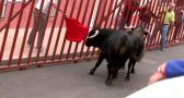 Actividades para todos los gustos en las fiestas de Olías del Rey