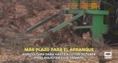 Ampliado el plazo de arranque de viñedo hasta el 31 de octubre - 13/10/2025