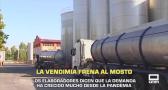 La vendimia frena al mosto - 14/10/2025