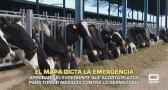 Aprobado el expediente que acorta plazos para tomar medidas contra la dermatosis - 28/10/2025