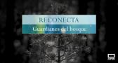 RECONECTA, GUARDIANES DEL BOSQUE