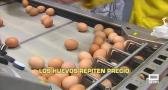 Los huevos repiten precio. La lonja de Toledo aprecia menor tensión - 10/11/2025