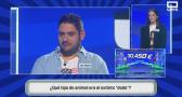 Atrápame Si Puedes - Programa 538