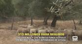 315 millones para seguros - 19/11/2025
