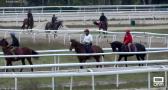 Visitamos las instalaciones del Hipódromo de la Zarzuela