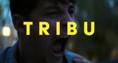 TRIBU