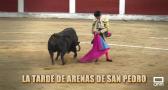 Tiempo de toros (22/11/2025)