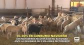 Los mataderos multiplican su actividad. El 30 % del consumo es navideño - 25/11/2025