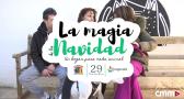 'La Magia de la Navidad', el evento solidario de Refugio Animalea en Albacete