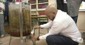 Alumnos de Albacete comprueban el potencial de las abejas