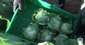 Recogemos coliflor en Sierra y la cocinamos en Hellín