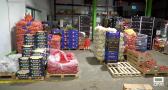 Un almacén de Recas mueve 150.000 kilos de frutas y verduras a diario