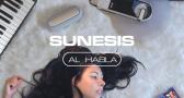 Al Habla 808: Sunesis presenta “DESTINATIONS”