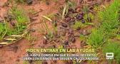 La Junta confía en que el Real Decreto cubra los daños que siguen calculándose - 18/02/2026