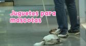 Juguetes, una forma para educar y fortalecer la relación con tu mascota