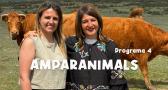 Amparanimals - Programa 4