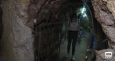 Albalate de las Nogueras abre sus cuevas del vino