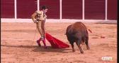 Corrida mixta desde Casarrubios del Monte (25-04-2026)