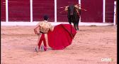 Corrida mixta desde Casarrubios del Monte (25-04-2026)