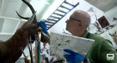 Conocemos el trabajo del taxidermista Juan Luis Morales
