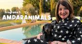 Amparanimals - Programa 5