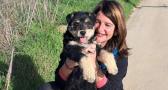 Perros carea, los mejores pastores de raza castellanomanchega