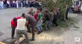 Los mozos de Puebla de Don Rodrigo plantan el árbol-mayo