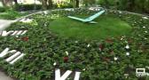Robo de flores en el Paseo de San Gregorio en Puertollano
