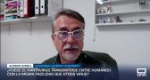 Entrevista a Alfredo Corell - 7/5/2026