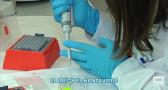 Hantavirus: los expertos piden tranquilidad