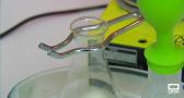 12 de centros educativos participan en la Feria de la Ciencia de Guadalajara