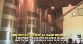 Cooperativas de vino buscan fórmulas para reaccionar frente al bajo consumo - 13/05/2026