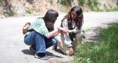 Todo lo que necesitas para vivir está en la Sierra del Segura
