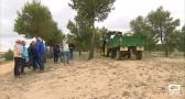 Concurso de habilidad para labrar la tierra en Santa María de Llanos