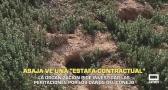 ASAJA pide investigar las peritaciones por los daños del conejo - 15/05/2026