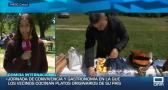 Encuentro de comida internacional en Priego