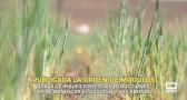 ASAJA pide bonificar el gasóleo y los abonos - 18/05/2026