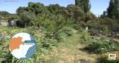 El "Huerto Aitor", un espacio solidario para las personas más necesitadas de Almansa