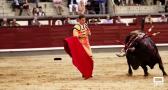 El torero toledano Luis Gerpe se recupera tras su cogida