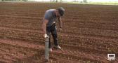 Estamos en plena temporada de plantación de cebollas